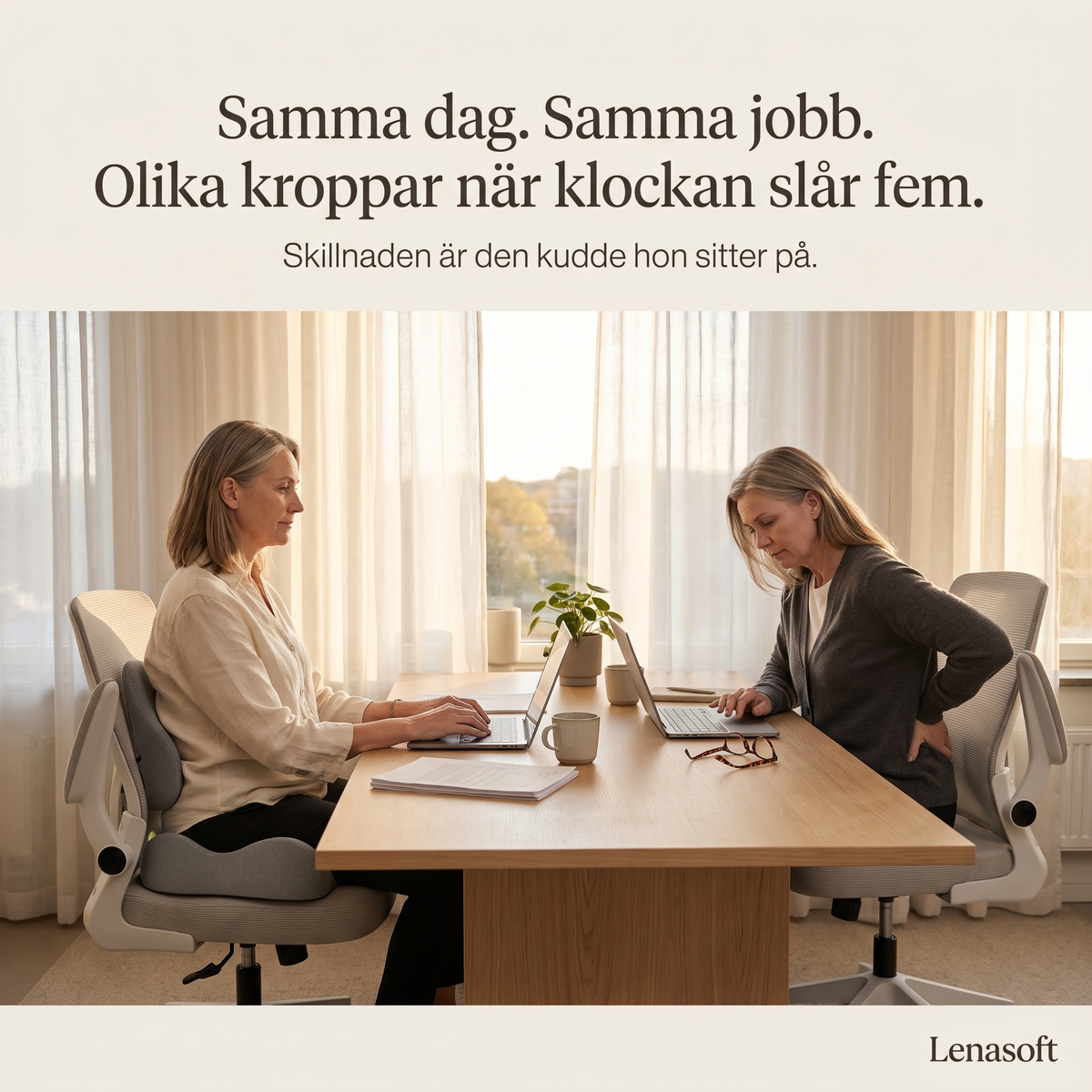 Lenasoft PRO